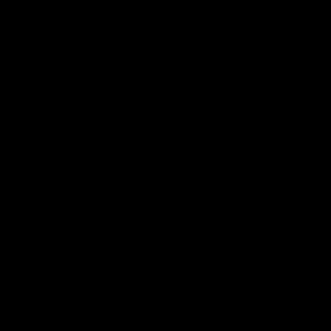 Meet your Posher, Aniyah